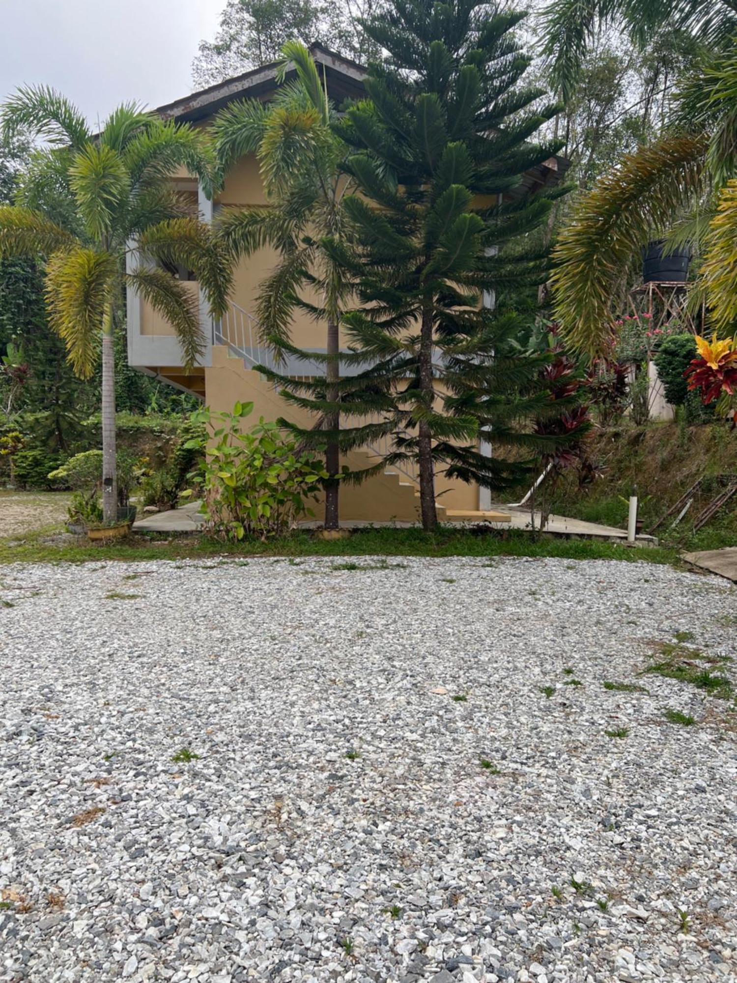Country House Pulai Holiday Village Gua Musang Eksteriør bilde